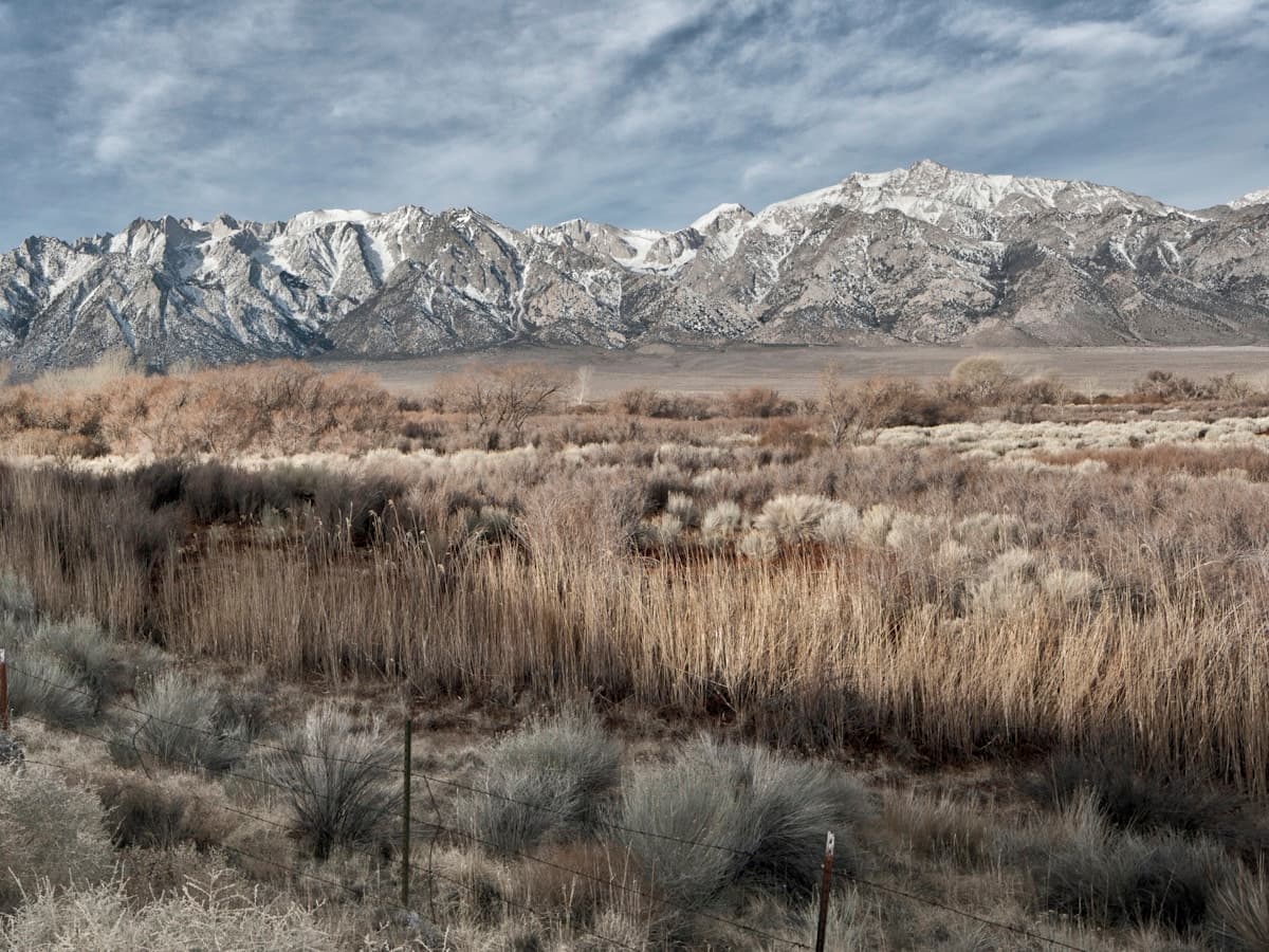 Open Carson Valley grassland with snow-covered Sierra Nevada peaks in the distance — the landscape that frames Gardnerville and Minden.